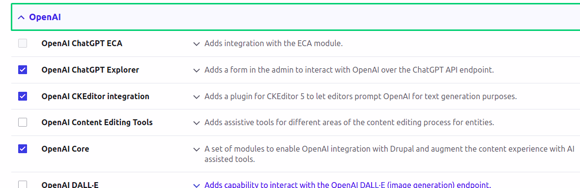 This project comes with a list of submodules that can be installed, for now, we’ll enable OpenAI Core, OpenAI ChatGPT Explorer, OpenAI CKEditor Integration, OpenAI Content Editing Tools, OpenAI Error Log Analyzer, OpenAI DALL-E and OpenAI CKEditor integration: