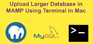 Import Large Database Using Terminal in MAMP